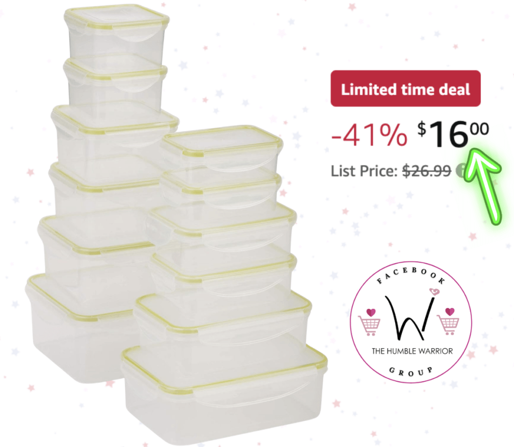 The Honey-Can-Do 24pc Snap-Lock Food Storage!